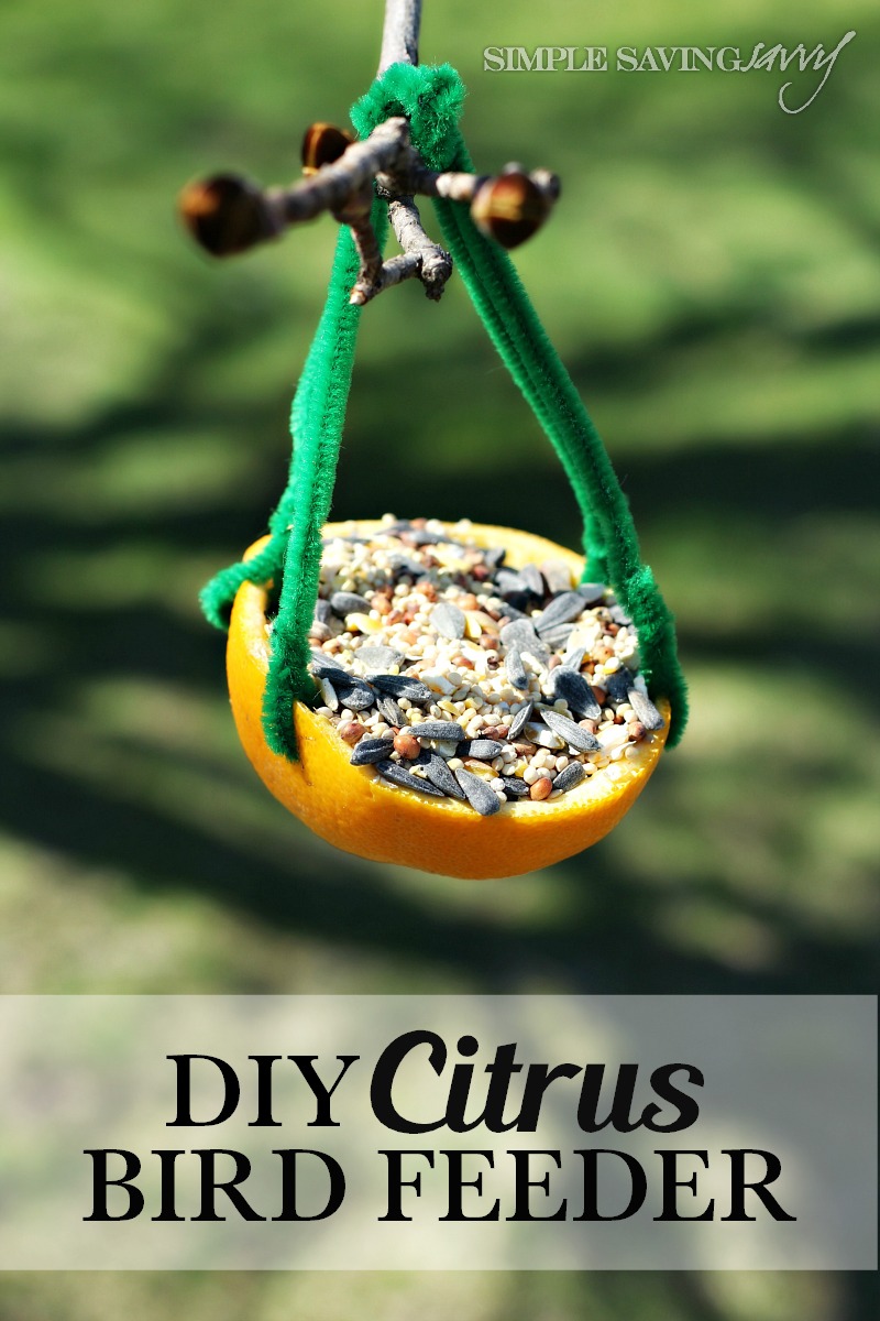 DIY Citrus Bird Feeder from Simple Saving Savvy