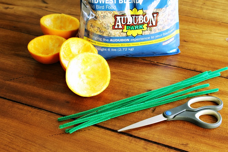 DIY Citrus Bird Feeder 