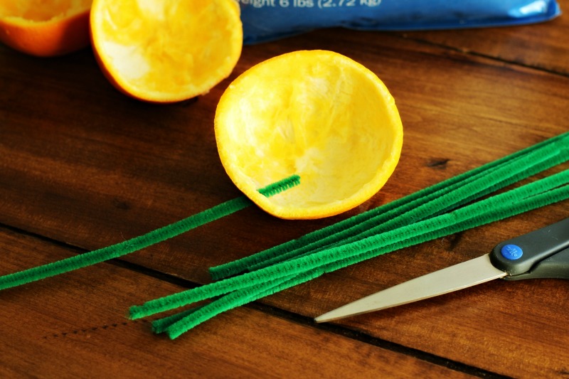 DIY Citrus Bird Feeder 