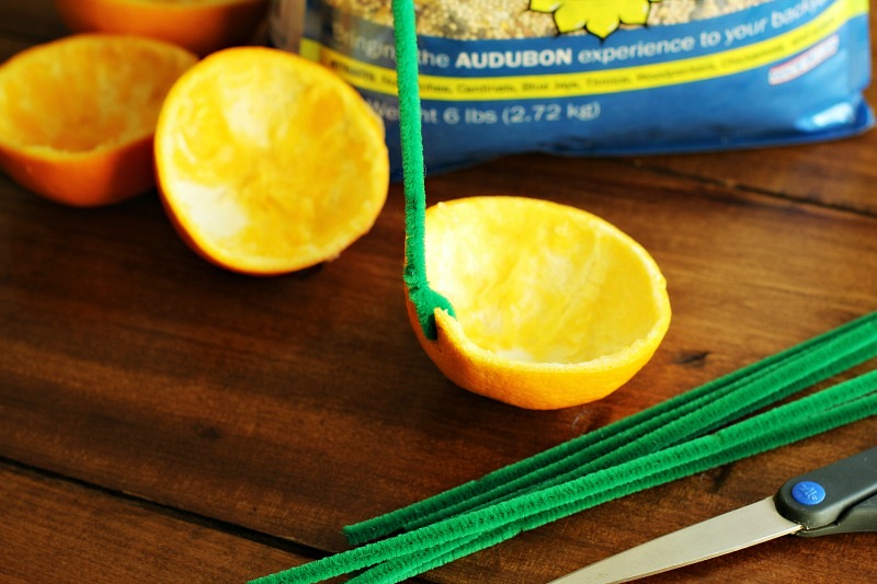DIY Citrus Bird Feeder 