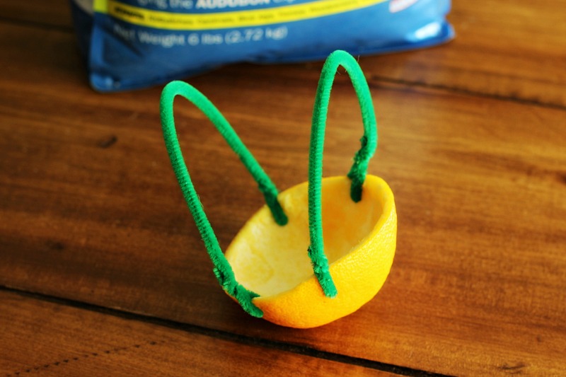 DIY Citrus Bird Feeder 