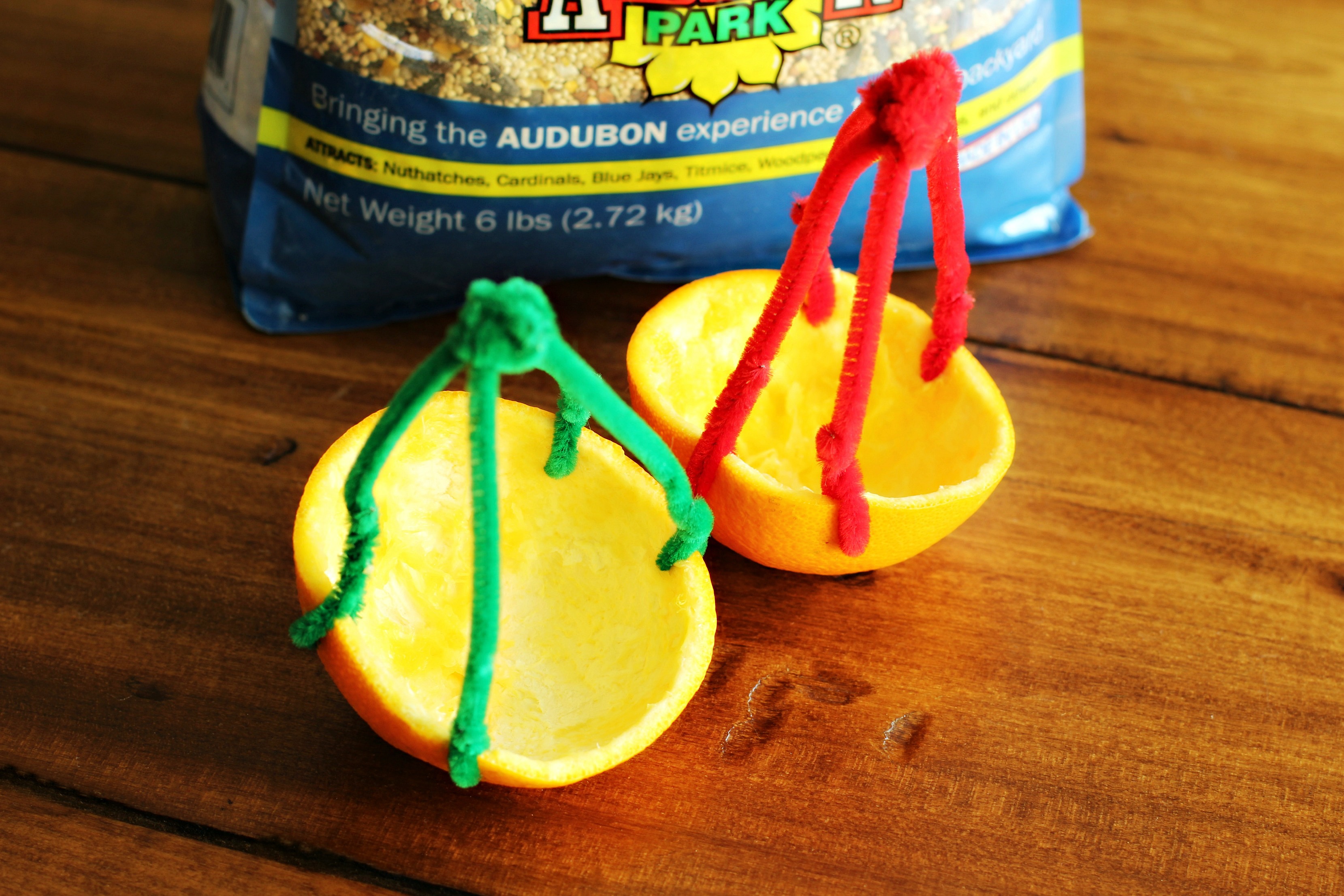 DIY Citrus Bird Feeder 