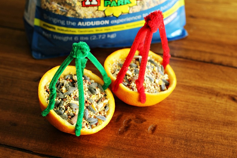 DIY Citrus Bird Feeder 