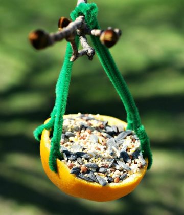 DIY Citrus Bird Feeder