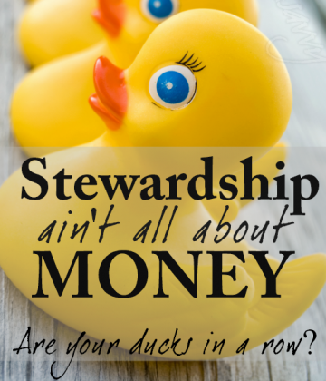 Stewardship Ain't All About Money