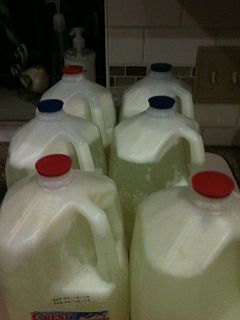 Homemade Liquid Laundry Detergent