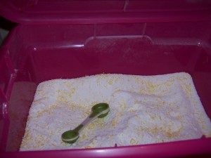 Homemade Laundry Detergent