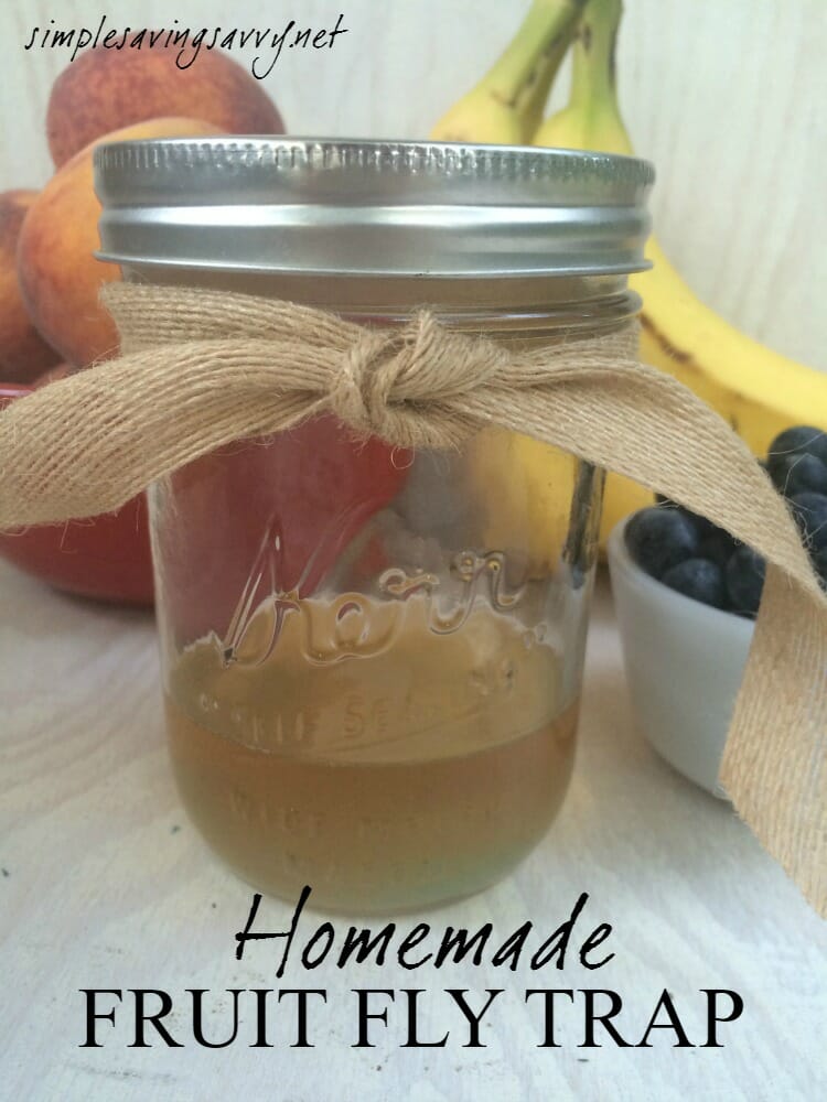 homemade-fruit-fly-trap