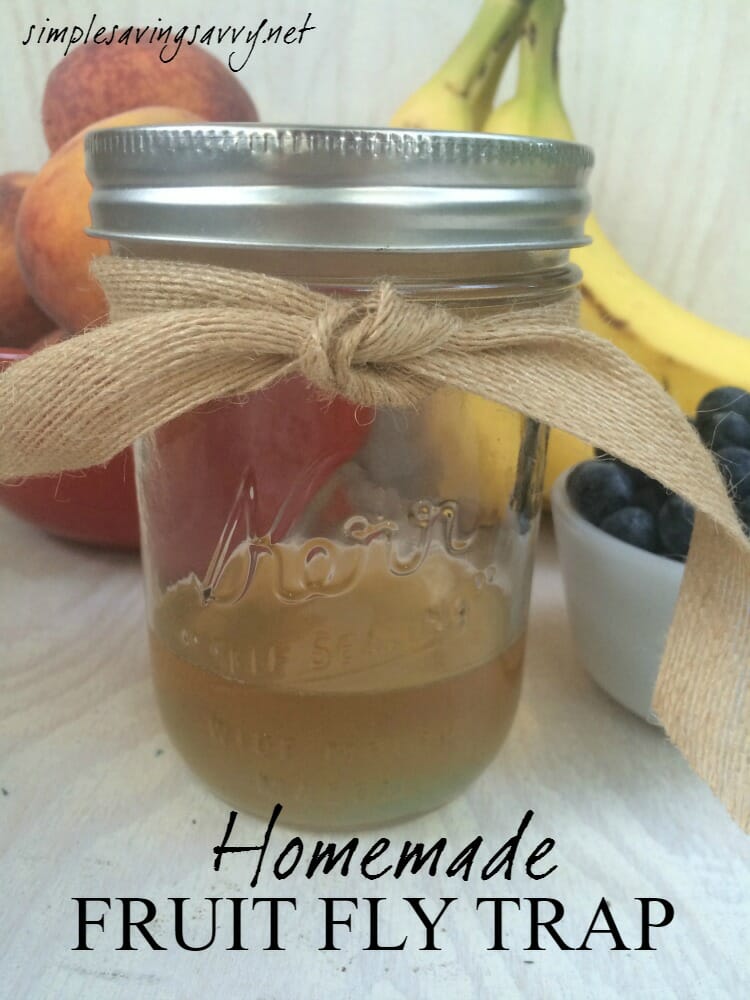 How to Make a Homemade Fruit Fly Trap [DIY]