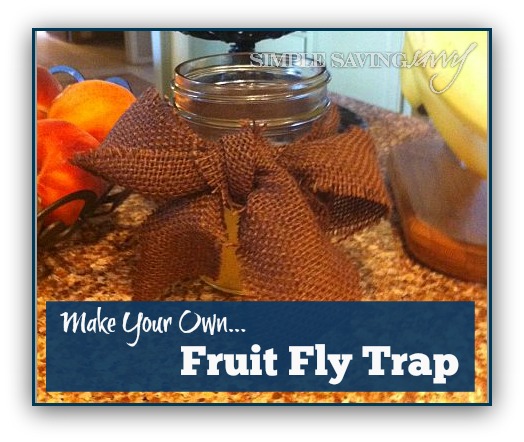 DIY Fruit Fly Trap for Getting Rid of Fruit Flies - The Homespun