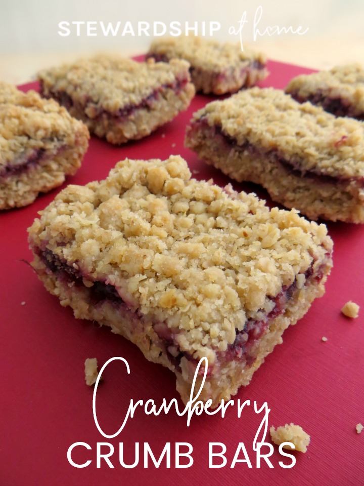 Cranberry Crumb Bars